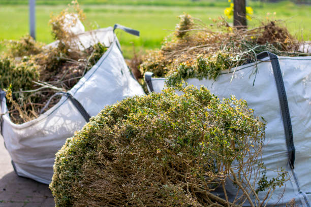 Professional Junk Removal  in Pierce, NE